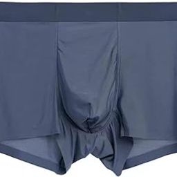 Men's Extra Thin Elastic Underwear Long Comfortable Ice Silk Breathable Comfort Brief Trunks Imported Material (Pack of 1) Multicolour-5