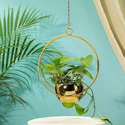 TrustBasket Lunar Eclipse Metal Hanging Planter (Set of 1)| Heavy Duty Metal Indoor and Outdoor Planter for Home Decor | Vertical Garden Hanging Decor | Hanging Planter-image-22