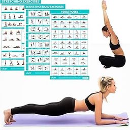 Vive Improved Flexibility Poster 3-Pack (Improved Flexibility Poster 3-Pack)-image-22
