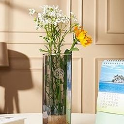 BS AMOR Set Of 1 Glass Cylinder Vases 8.5 Inch Tall - Multi-Use: Pillar Candle, Floating Candles Holders Or Flower Vase Perfect As A Wedding Centerpieces Pack Of 1 (Black, Round)-image-83
