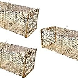 Freshwind Rat, Rodent, Mouse Trap, Iron Catcher- Ultimate Solution of Rat Problems, Cage for Catching Rat/Mouse/Rodent/Chipmunk/Squirrels, Humane Pinjra Chuhedaan (No Kill) (Pack of 3)-15