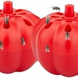 Fruit Fly Trap, Reusable Fruit Fly Killer Indoor Gnats Trap (Pack of 2)-image-97