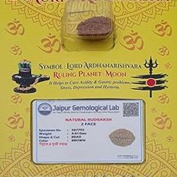 Dharmsaar Ltd 2 mukhi rudraksha Original Certified,Two Face 2 mukhi rudraksha Nepali for Men and Women,Lab Tested Certified Rudraksh,Moon Planet Nepal Origin Brown Color Bead-image-7