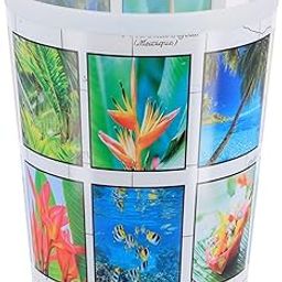 EVIDECO French Home Goods Printed Trash Can Waste Basket 4.5-liters-1.2-Gal (Island)-image-35