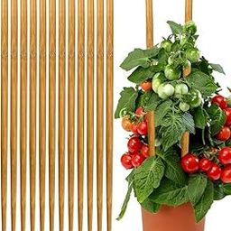 Generic Strong Long Bamboo Plant Stakes, 12Pcs, 18inch, Indoor/Outdoor, Brown, Rustic Straight Bamboo-image-57