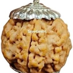 5 Mukhi Rudraksha Original Certified 5 Face Rudraksha Blessed By Lord Shiva Panchmukhi Mukhi Rudraksha Pendant Real 5 Mukhi Rudraksha With Capping Five Rudraksha 5 Mukhi Rudraksha Locket-9