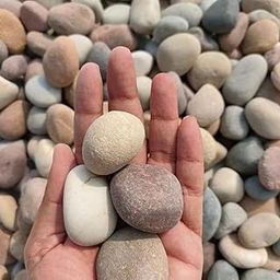KASHLIWAL Stone SUPPLIERS Beach Pebbles, Mix Color, 1 KG Smooth & Round Stones River Rocks Decorative for Home Decor Aquariums Crafting Garden Lawn-image-39