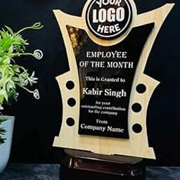 Customized Trophy and Award-picture-16