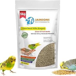 Jainsons Pet Products Green Foxtail Millet (Kangni) 5kg – Natural Bird Food for Finches, Lovebirds, Doves, Quail, Pheasants, Indigo & Other Small Bird Species-12