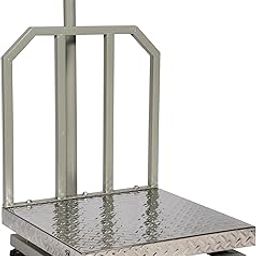 Innoweight® Scheat Platform Scale. Metal Powder Coated Indicator. Size 16inch. Capacity 50kg to 200kg.(50KG SS CHECKER)-picture-12