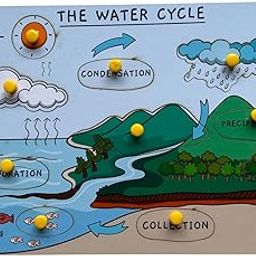 Winkslab: Nature's Recycling System: The Wonders of The Water Cycle-12