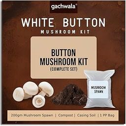 White Button Mushroom Kit (Complete Set) - Spawn/Seeds 200gm + Pasteurized Compost & Casing Soil + PP Bag - High Yield, First Generation, Grain-Based Seeds - Growing Edible Mushrooms Indoors-4