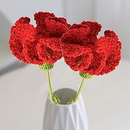 2 Pcs Crochet Flowers, Crochet Flowers Bouquet, Carnations in Bright Red Are Perfect for Placing in Office Bedrooms and Also Suitable as Holiday Gifts (2.95in* 17.7iin) (Excluding Bottles)-22