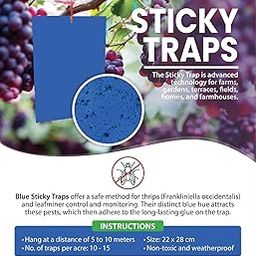 AHT-Blue Sticky Trap for Insect in Garden & Farm,Glue Trap/Fly Trap/Insect Catcher/Sticky Pads for Insects (10)-picture-18