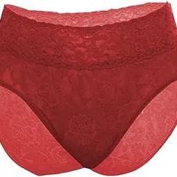 ribald the neech Women's Floral Lace High-Waist Brief Panty-picture-49