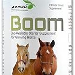 Avishi Boom for Growing Horses, (1 Litre) Bioavailable Starter Supplement for Better Muscle, Bone and Teeth Development, Helps to Build Immunity and Combat Stress-35