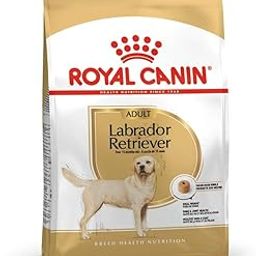 Royal Canin Labrador Pellet Adult Dog Food, Meat Flavor, 3 Kg-image-70