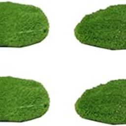 Wonderland ( Set of 4 Small Moss Green Stone Garden Miniature for Landscape Decoration, Plants Home Decor Gift Accessories-image-88