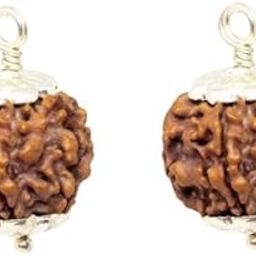 Panchmukhi Mukhi Rudraksha Original Certified Nepali AAA+++ Quality 5 Mukhi Rudraksha Buy 1 Get 1 Free 5 Face Ruthratcham with Pendant Five Mukhi Rudraksha Beads 5 मुखी रुद्राक्ष ओरिजिनल-44