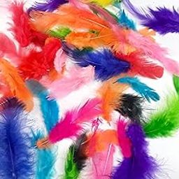 MSGH Natural Dyed Feathers Mixed Size 180 pcs (Multi Mix)-image-22
