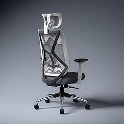 Green Soul Zodiac Pro | Ergonomic Mesh Office Chair with Seat Slider |4D Adjustable Armrest|Multi Synchro Tilt Mechanism|Adjustable Lumbar Support (White & Grey) 3 Years Warranty-17