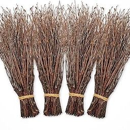 Alater Birch Twigs, 200 Pcs Natural Birch Branches for Craft, Wedding Arrangements, Party or Home Decor-image-68