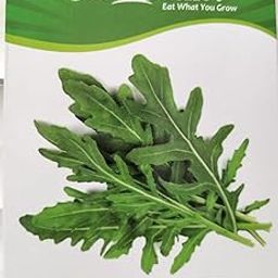 Seed Basket Exotic Rocket Arugula All Seasons Vegetable Seeds For Home Gardening- (300 Seeds- With More Than 70% Germination) And Instruction Manual-image-13