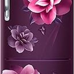 Samsung 223L 3 Star Inverter Direct-Cool Single Door Refrigerator Appliance (RR24C2723CR/NL,Camellia Purple)-image-61