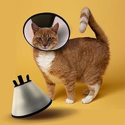 Cat Cone (Size 2, Medium) Plastic E-Collar Adjustable Protective Collar for After Surgery Anti-Bite Lick Wound Healing Safety Practical Pet Cone Recovery Collar (Medium)-26