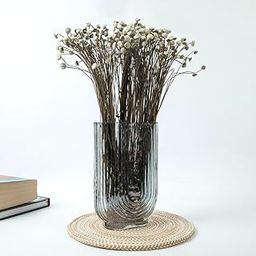 IDIKA Living Buttercup Dried Flowers | Bunch of 100 Stems| Home Decor & Floral Styling | Natural, Delicate & Long-Lasting | Perfect for Vases, Bouquets & DIY Crafts(White)-image-42