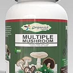 Multi Mushroom Powder 500mg Capsules 90 Capsules-image-95