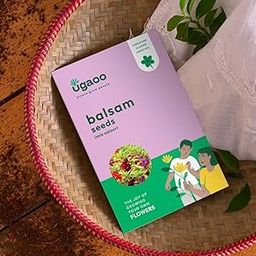 UGAOO Balsam Flower Seeds (Green, Pack of 200)-image-81