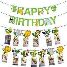 Party Propz Jungle Theme Birthday Decoration Kit - 4pcs Jungle Theme Birthday Decoration Items for Boy and Girl,12 Month Photo Banner, Happy Birthday Banner (Cardstock)-image-62