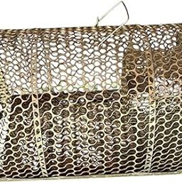 Graafts RAT24 Live Trap for Rodents | Humane Reusable Rat Cage Trap | Sturdy Metal Construction | Easy to Use & Safe-image-64