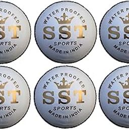 Leather Cricket Ball, White, Pack of 6 4 Pieces of Leather 50 Overs Durability and Water Resistance-image-72