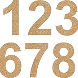 AmericanElm Plain Laser Cut Wooden Number 0 to 9 for Craft and Kids Learning-24