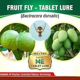 MANTRA ME Fruit Fly Tablet Lure (50)-image-11
