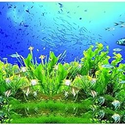 UJEAVETTE® High Definition 3D Single Adhesive Plant Fish Picture Backdrop for Aquarium XL-image-52