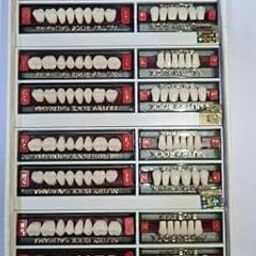 Dental Acrylic Nutry Rock Teeth Kit Sets Shade Of Teeth A2-image-7