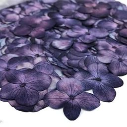 CBM Craftara by Monika Hydrangea Dried Flower Purple for Resin Natural Pressed Assorted Colorful Flowers for DIY Jewelry Molds Art Crafts Scrapbooking Candle Soap Making Nails Décor-image-29