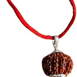 Precious Nav Mukhi Rudraksha Original Certified 9 Mukhi Rudraksha Brown Beads 9 Face Rudraksha Nine Mukhi Rudraksh Nepal Silver Capped Blessed Lord Maa Durga 9 मुखी रुद्राक्ष नेपाली ओरिजनल-picture-34