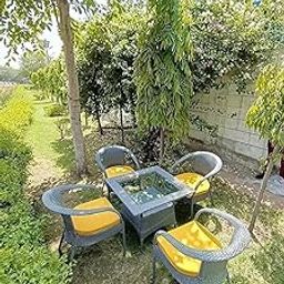 Tiranga Outdoor D-8 Chairs Table Set 4+1 Wicker Patio Furniture Sets 4 Chair and 1 Table with Cushions for Garden Balcony Bedroom Powder Coated Frame Uv Protected Wicker (Black+Yellow)-image-93