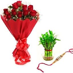Floral Fantasy® Original Real Fresh Flower Bouquet For Rakhi Gift (Bunch Of 10 Red Roses in Red Paper Packing with one Rakhi and 2 layer Lucky Bamboo Plant)-image-69