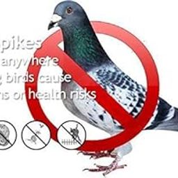 SpikeZone - Spikes for Bird & Pigeon, Polycarbonate Bird/Pigeon Control Spikes, Bird Spikes, Pigeon Problem Solutions (20 Pcs)-0
