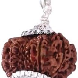 SreeGems 18 Mukhi Rudraksha Original Certified Atharah Mukhi Rudraksha With Silver Capping 18 Mukhi Rudraksha Nepali Blessed By Goddess Earth 18 Face Rudraksha 18 मुखी रुद्राक्ष 18 Mukhi Rudraksha Pendant-picture-3
