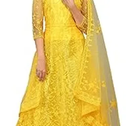 julee Women's Net Embroidered Semi-Stitched Gown Jinnat-New1-picture-45