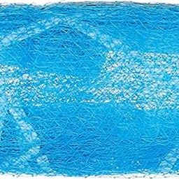 Azone R716F Nylon Badminton Net (Blue)-picture-1