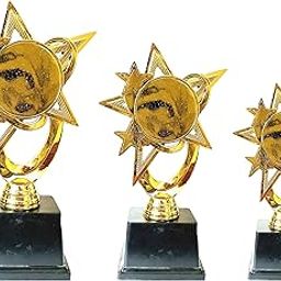 AGH Set of 10 Award for Yours Best Performance-image-85