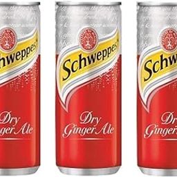 Schweppess Dry Ginger Ale, Soda 320ml Cans, Pack of 3-picture-25