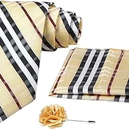 axlon Tie for Men – Self Silk Neck Ties Set with Cufflinks Flower Pin, Pocket Square & Black Gift Box, Combo Necktie Sets for Office Wear, Formal Suits & Weddings (Beige, 2022AX_23)-picture-42